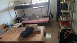 Blk 22 Bedok South Avenue 1 (Bedok), HDB 3 Rooms #452805411
